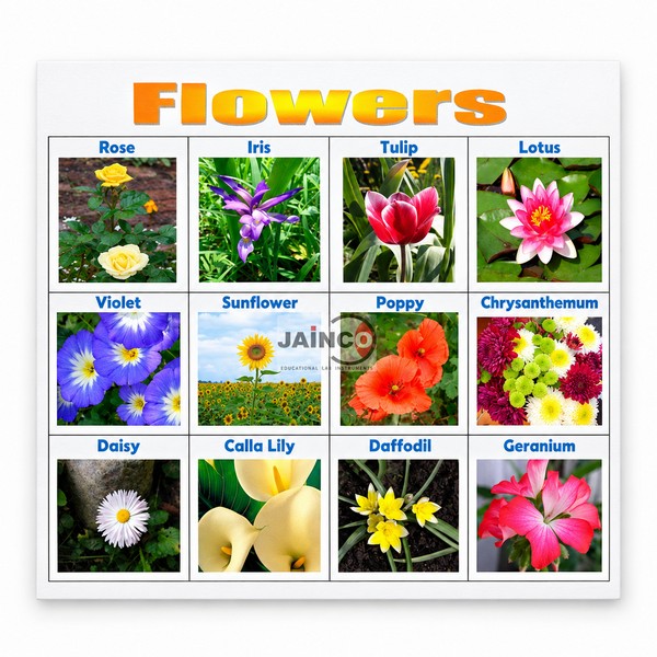 Flowers Chart